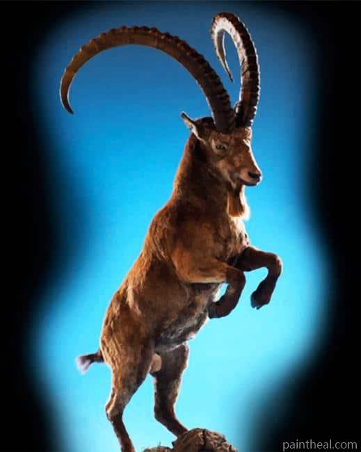 Big Horned Sheep Jumping Painting By Numbers Kits