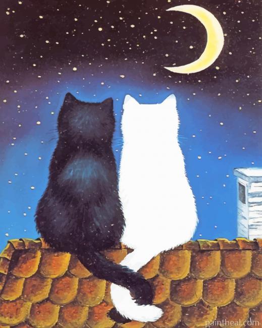White And Black Cats Couple Painting By Numbers Kits