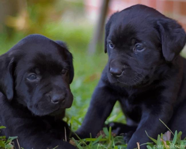 Labrador Dog Puppies Painting By Numbers Kits