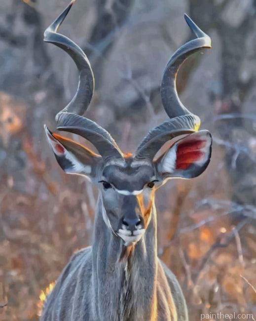 Kudu Animal Painting By Numbers Kits