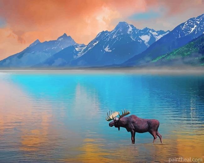 Moose In Lake Painting By Numbers Kits