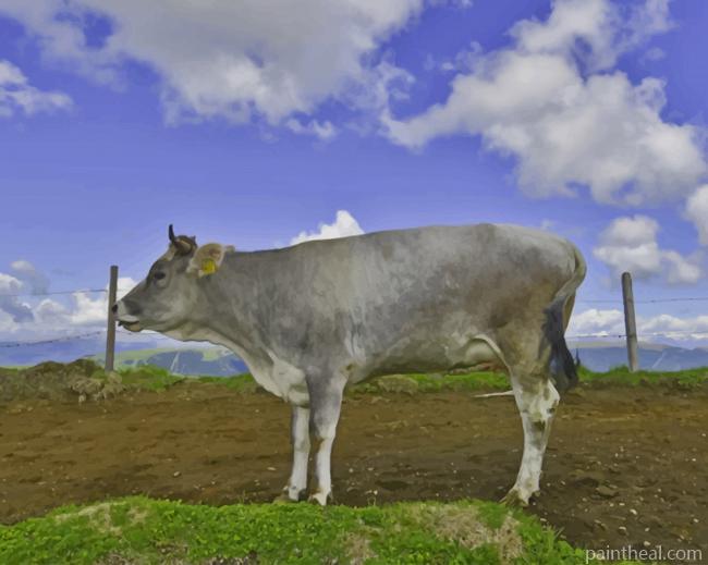 Grey Cow Cattle Painting By Numbers Kits