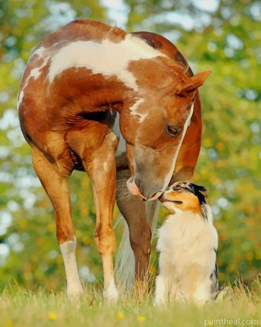 Horse With Dog Painting By Numbers Kits