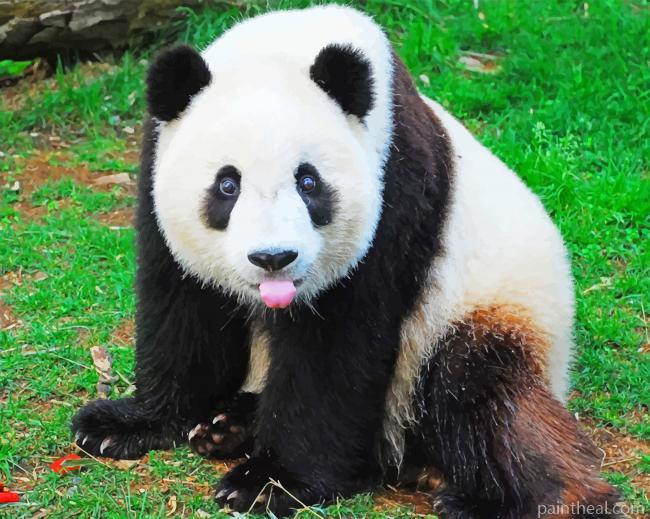 Panda Bear Animal Painting By Numbers Kits