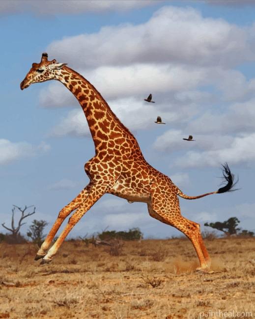 Giraffe In The Jungle Painting By Numbers Kits