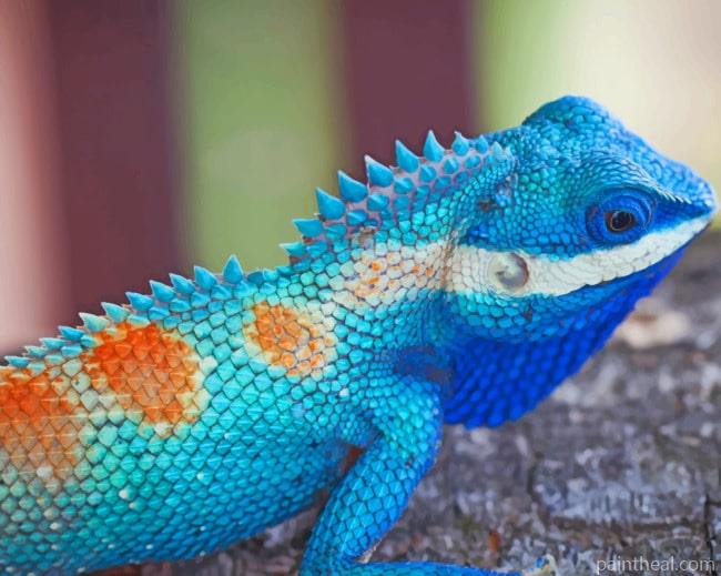 Lacerta Viridis Iguana Painting By Numbers Kits