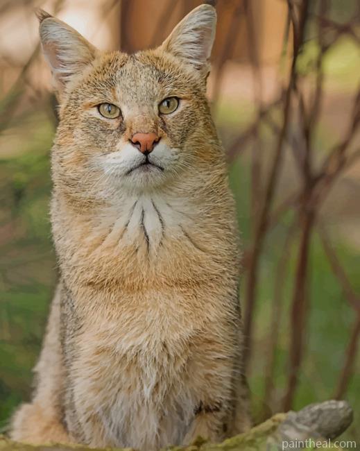 Jungle Cat With Green Eyes Painting By Numbers Kits