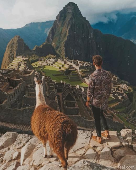 Llama and Man On Mountain Painting By Numbers Kits