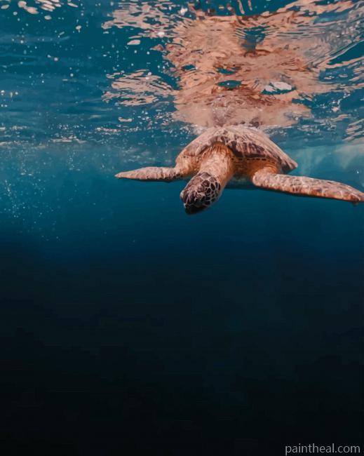 Turtle In Deep Ocean Painting By Numbers Kits