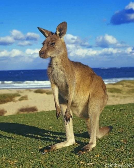 Kangaroo Animal Painting By Numbers Kits