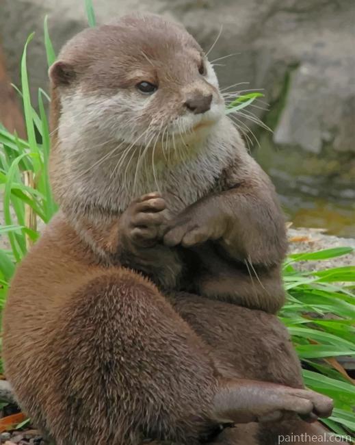 Asian Small Otter Painting By Numbers Kits