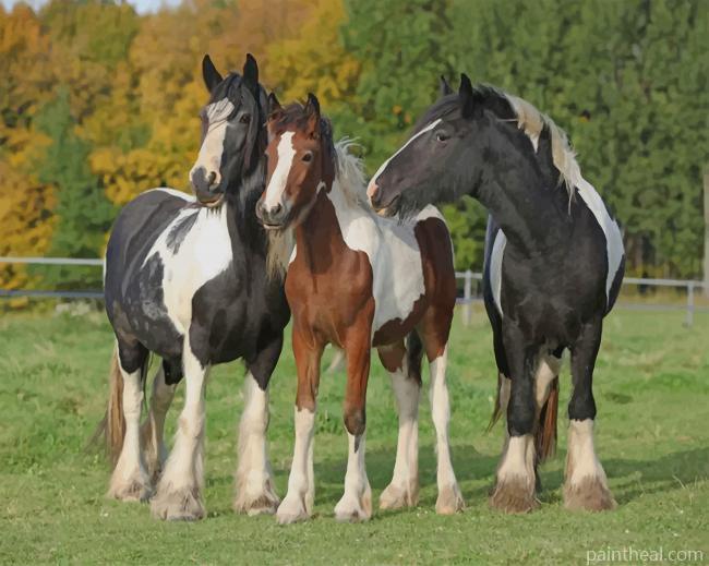 Irish Horses Painting By Numbers Kits