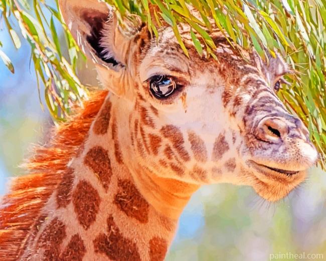Giraffe Under Tree Leaves Painting By Numbers Kits