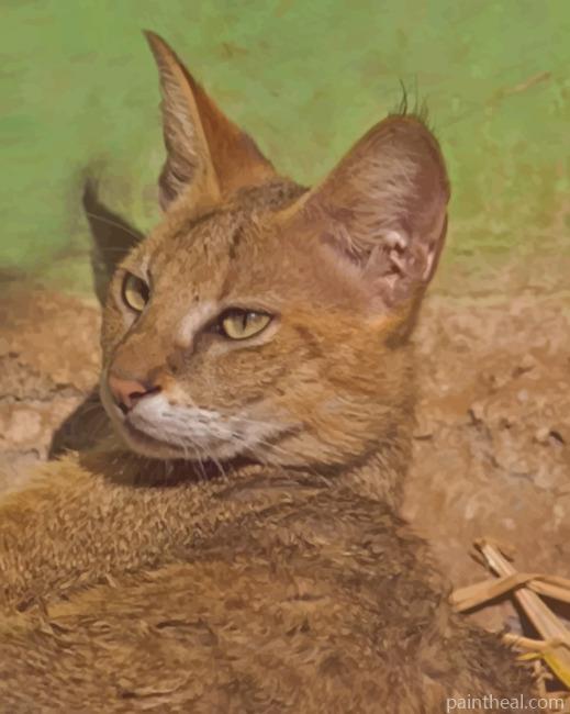 Chausie Cat Painting By Numbers Kits