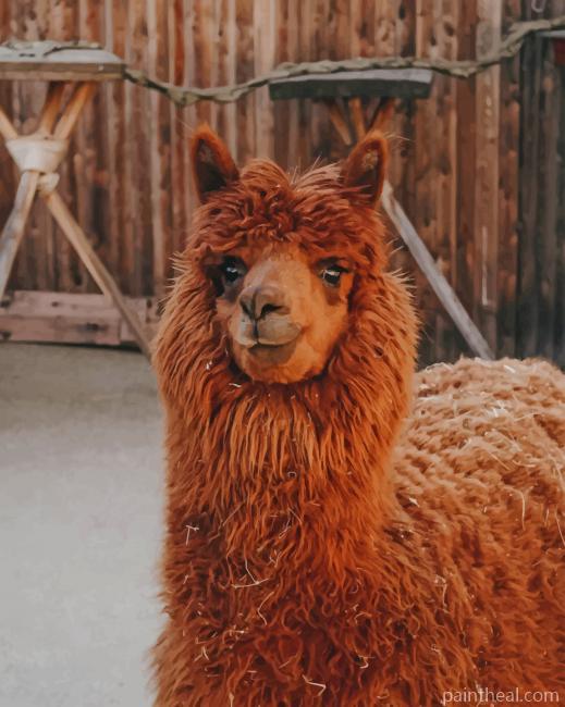 Brown Llama Painting By Numbers Kits