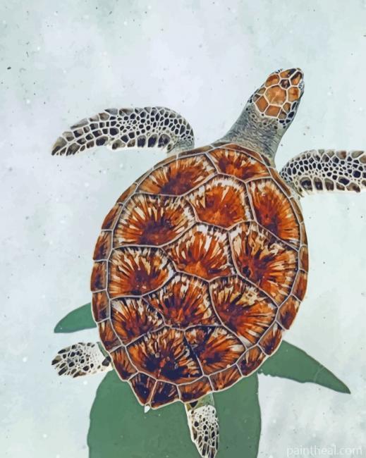 Sea Turtle In The Beach Painting By Numbers Kits