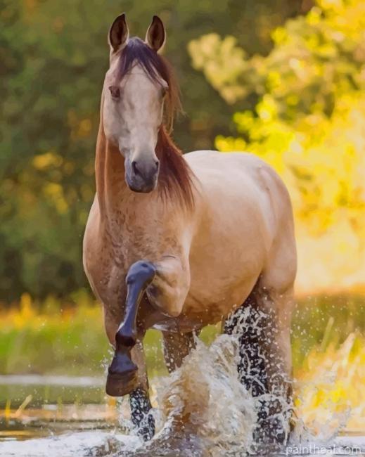 Horse In River Painting By Numbers Kits