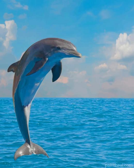 Dolphin Animal Painting By Numbers Kits