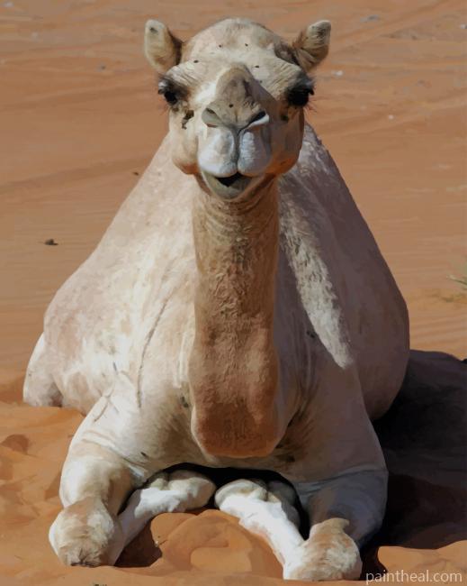 Camel Animal Painting By Numbers Kits