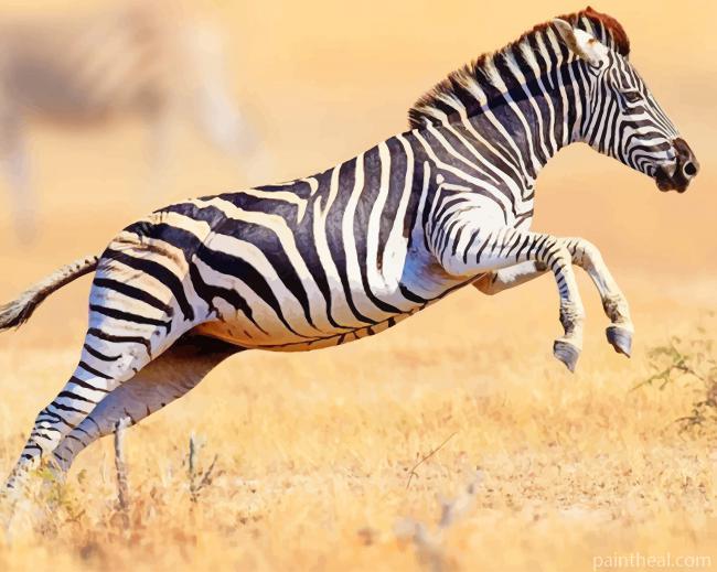 Running Zebra Painting By Numbers Kits