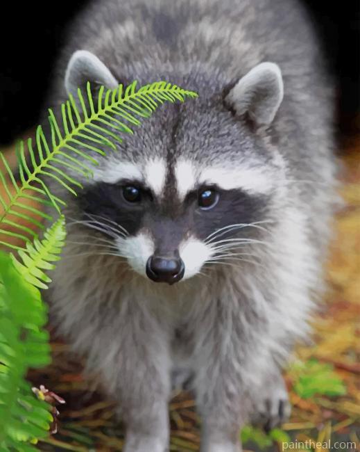 Raccoon In Forest Painting By Numbers Kits