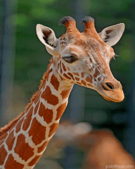 Northern Giraffe Animal Painting By Numbers Kits