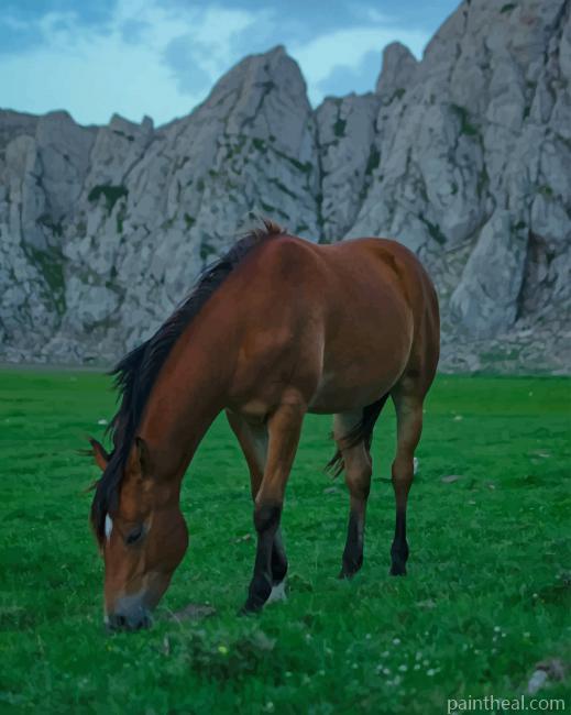 Brown Horse In Nature Painting By Numbers Kits
