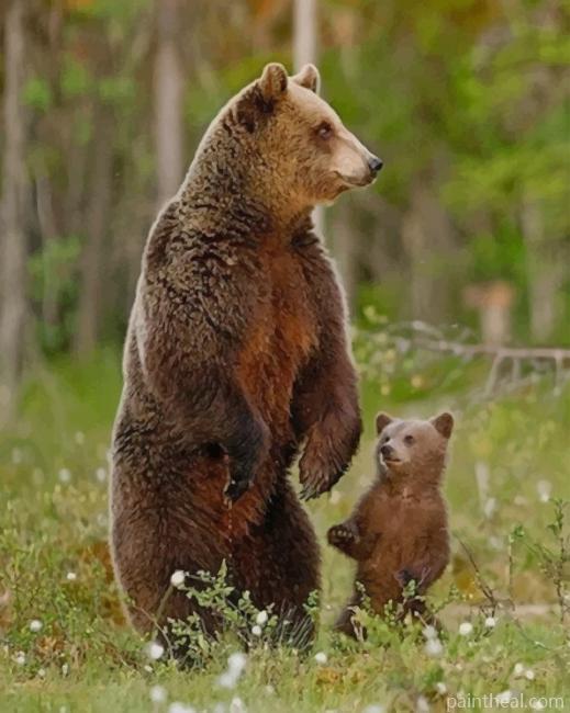 Grizzly Bear And Cub Painting By Numbers Kits