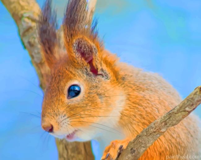 Brown Squirrel On Branch Painting By Numbers Kits