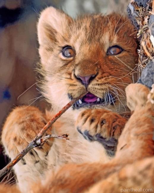 Baby Lion Animal Painting By Numbers Kits