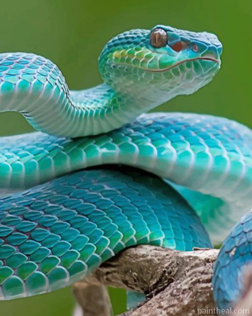 Blue Snake Painting By Numbers Kits