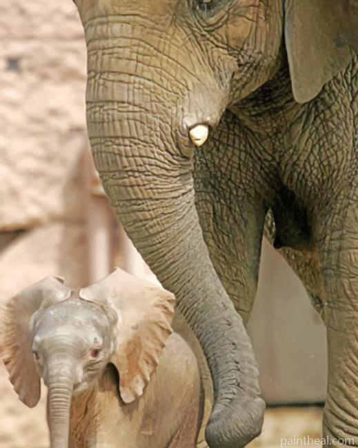 Baby Elephant With Mother Painting By Numbers Kits