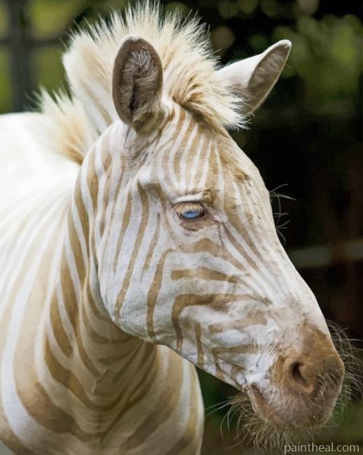 Blonde Zebra Painting By Numbers Kits