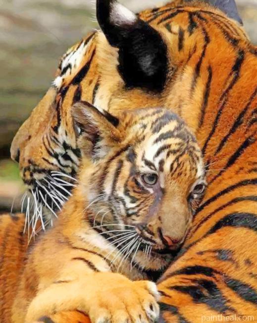 Mother And Baby Tiger Painting By Numbers Kits