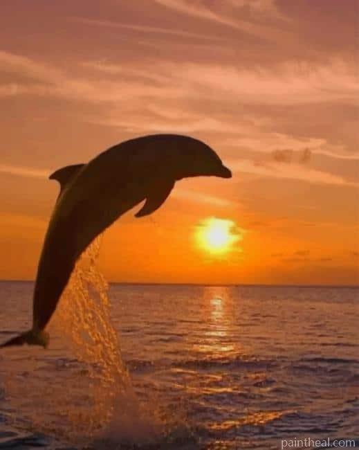 Jumping Dolphin Painting By Numbers Kits