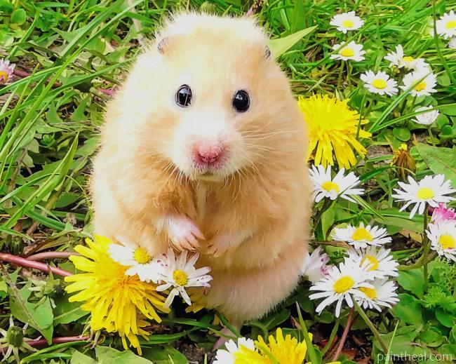 Hamster Painting By Numbers Kits
