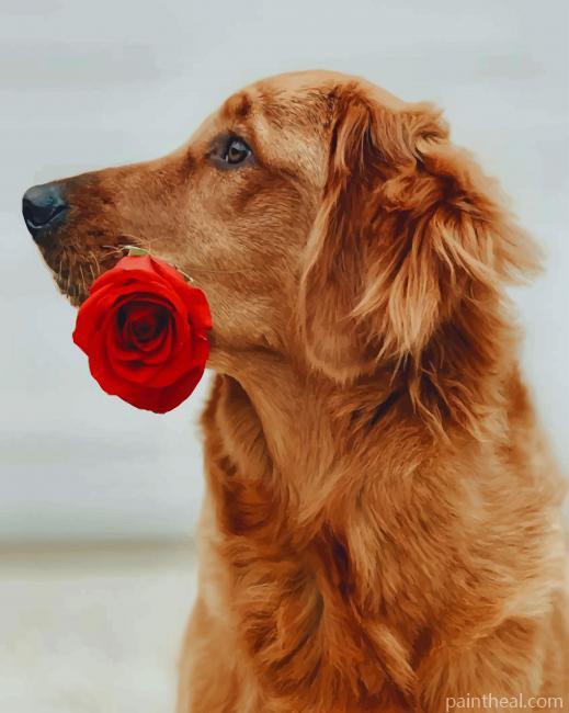 Brown Dog Holding Rose Painting By Numbers Kits