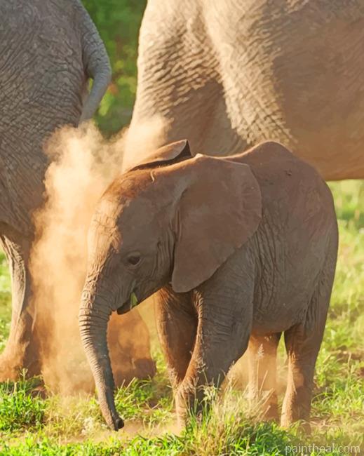 Baby African Elephant Painting By Numbers Kits