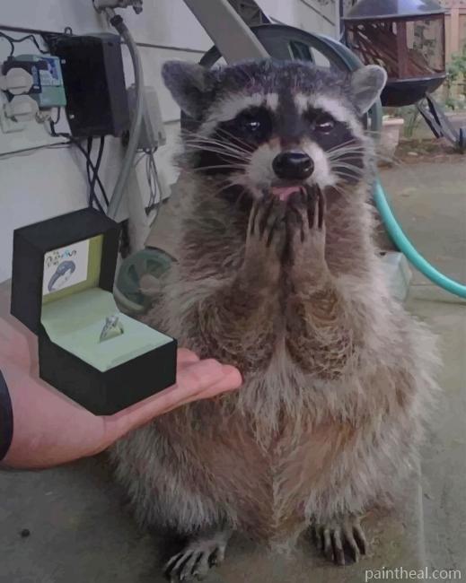 Marriage Proposal Raccoon Painting By Numbers Kits