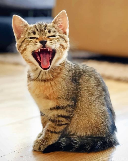 Yawning Cat Painting By Numbers Kits