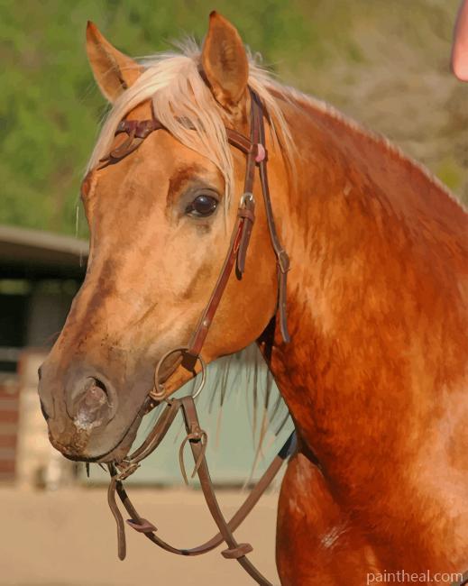 Sorrel Brown Horse Painting By Numbers Kits