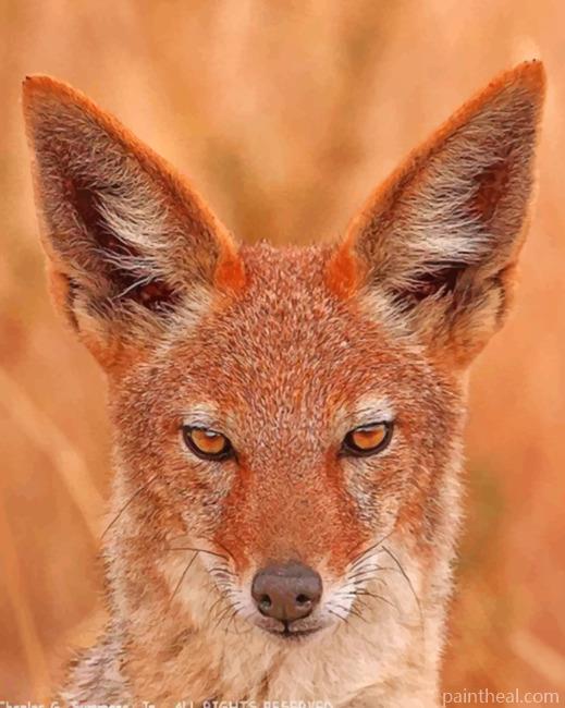 Jackal Face Painting By Numbers Kits