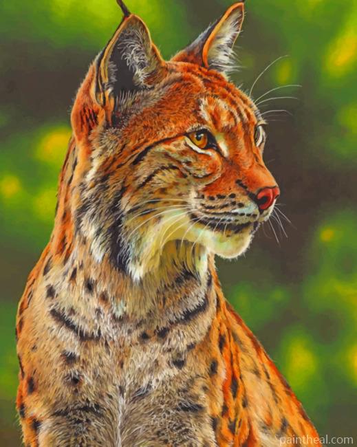 Big Cat In Forest Painting By Numbers Kits