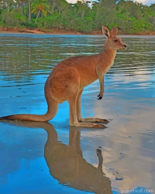 Kangaroo In The River Painting By Numbers Kits