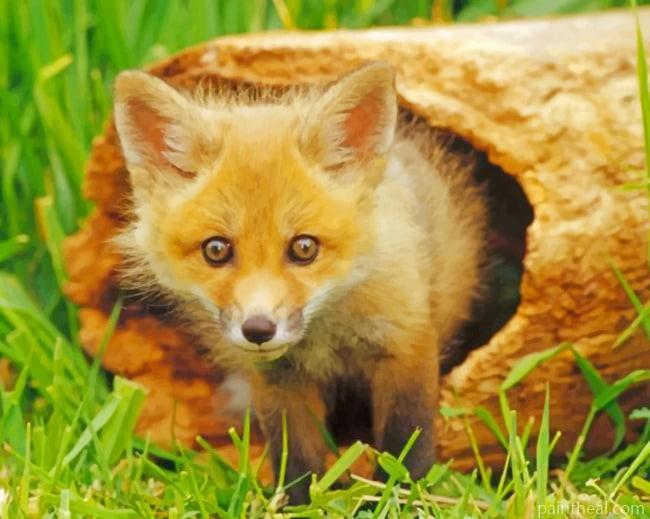 Little Red Fox Painting By Numbers Kits