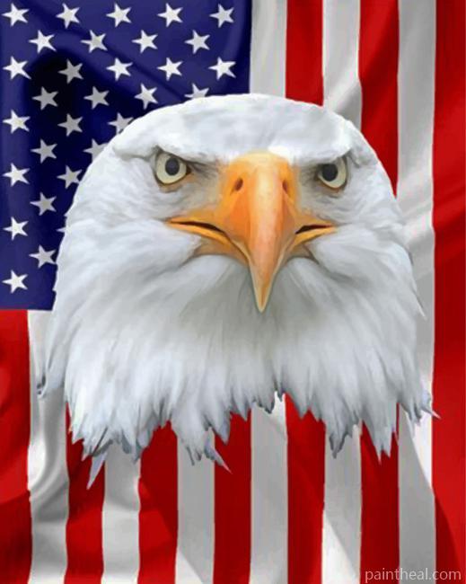 American Flag And Eagle Painting By Numbers Kits
