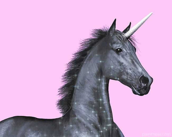 Black Unicorn Painting By Numbers Kits
