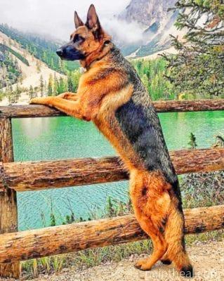 Majestic German Shepherd Painting By Numbers Kits