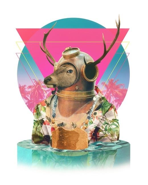 Astronaut Deer Art Painting By Numbers Kits