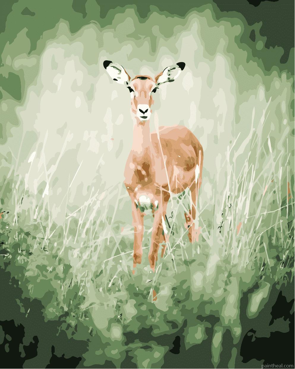 Female Impala Painting By Numbers Kits